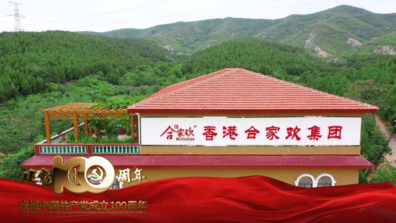 庆祝建党100周年，中共合家欢支部委员会正式成立